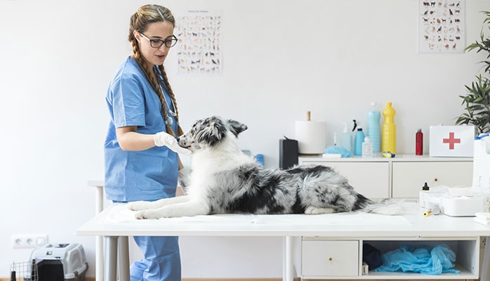 Projet de loi de financement de la sécurité sociale 2026 Retraites PLFSS